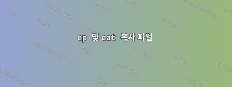 cp 및 cat 복사 파일