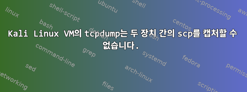 Kali Linux VM의 tcpdump는 두 장치 간의 scp를 캡처할 수 없습니다.