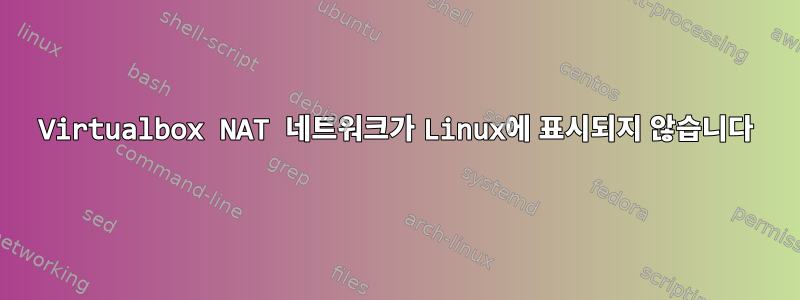 Virtualbox NAT 네트워크가 Linux에 표시되지 않습니다