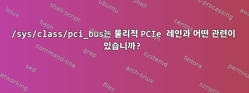 /sys/class/pci_bus는 물리적 PCIe 레인과 어떤 관련이 있습니까?