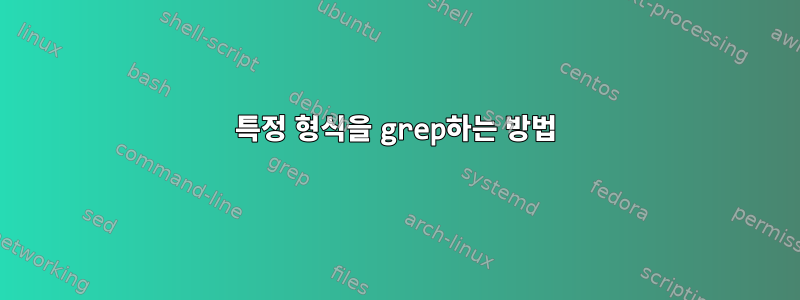 특정 형식을 grep하는 방법