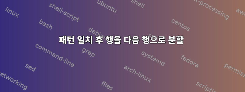 패턴 일치 후 행을 다음 행으로 분할