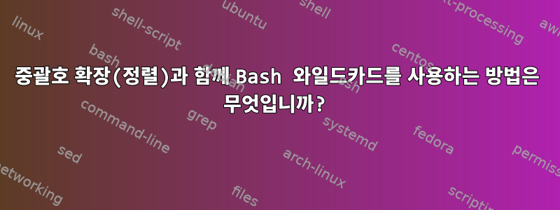 중괄호 확장(정렬)과 함께 Bash 와일드카드를 사용하는 방법은 무엇입니까?