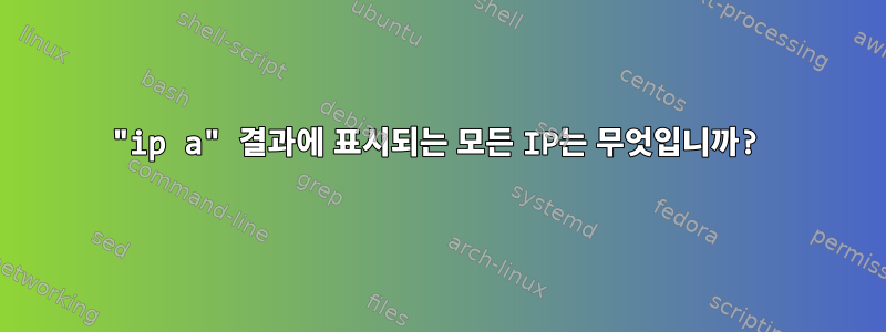 "ip a" 결과에 표시되는 모든 IP는 무엇입니까?