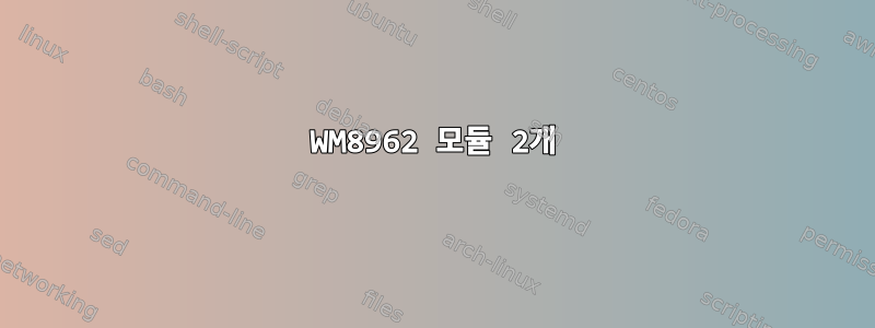 WM8962 모듈 2개