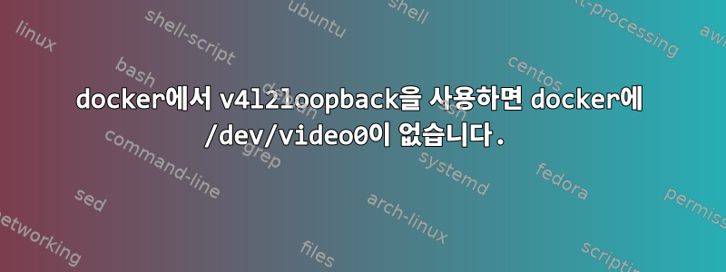 docker에서 v4l2loopback을 사용하면 docker에 /dev/video0이 없습니다.