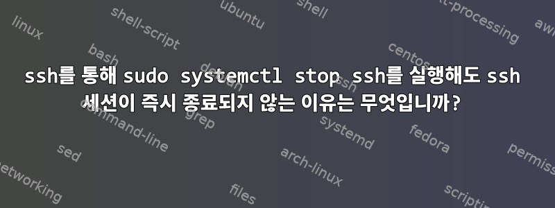 ssh를 통해 sudo systemctl stop ssh를 실행해도 ssh 세션이 즉시 종료되지 않는 이유는 무엇입니까?