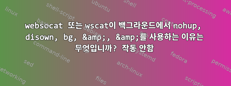 websocat 또는 wscat이 백그라운드에서 nohup, disown, bg, &amp;, &amp;를 사용하는 이유는 무엇입니까? 작동 안함