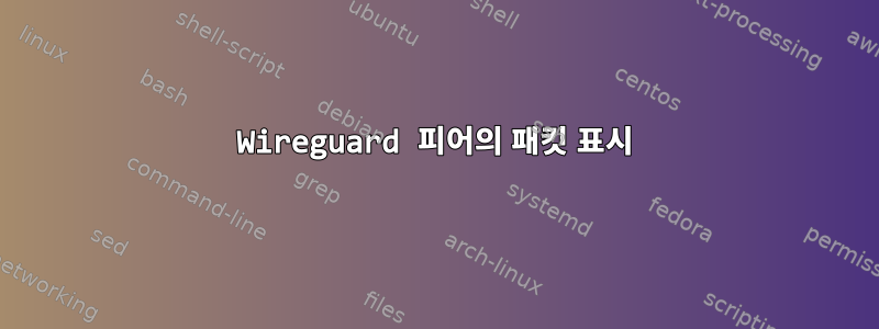 Wireguard 피어의 패킷 표시