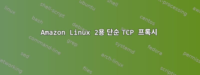 Amazon Linux 2용 단순 TCP 프록시