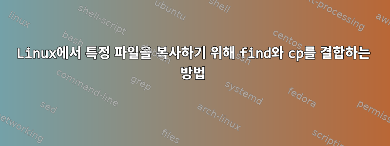 Linux에서 특정 파일을 복사하기 위해 find와 cp를 결합하는 방법