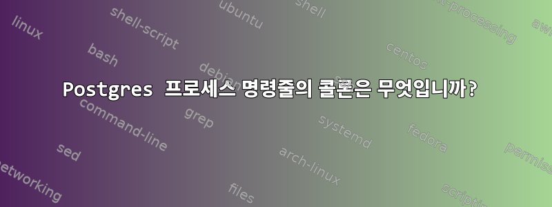 Postgres 프로세스 명령줄의 콜론은 무엇입니까?