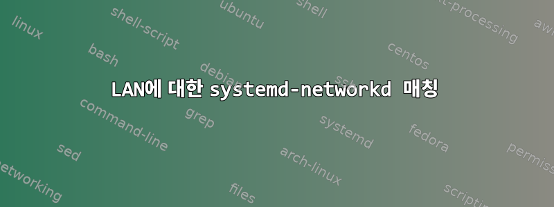 LAN에 대한 systemd-networkd 매칭