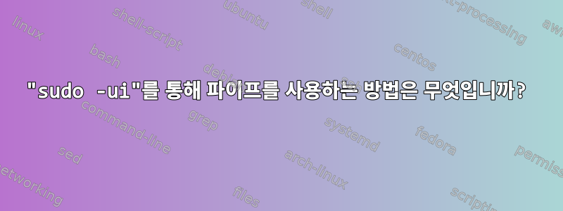 "sudo -ui"를 통해 파이프를 사용하는 방법은 무엇입니까?