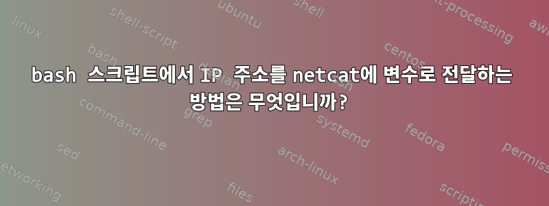 bash 스크립트에서 IP 주소를 netcat에 변수로 전달하는 방법은 무엇입니까?