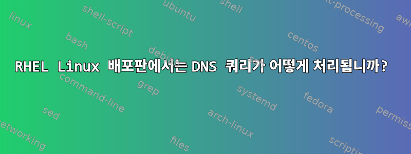 RHEL Linux 배포판에서는 DNS 쿼리가 어떻게 처리됩니까?