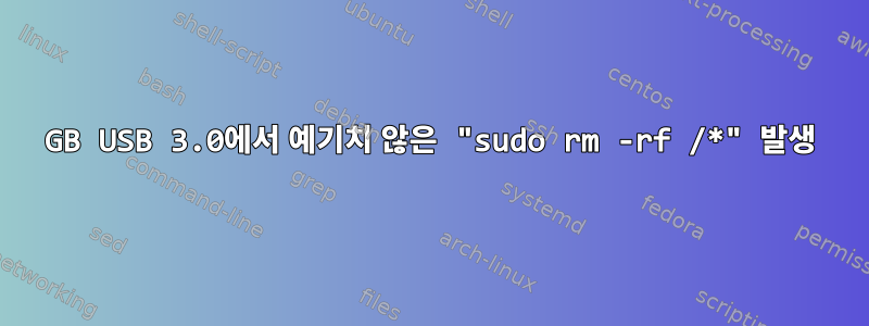 32GB USB 3.0에서 예기치 않은 "sudo rm -rf /*" 발생