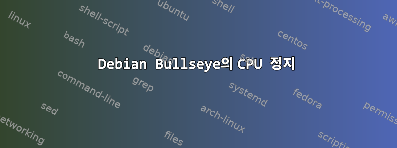 Debian Bullseye의 CPU 정지