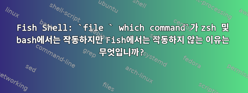 Fish Shell: `file ` which command`가 zsh 및 bash에서는 작동하지만 Fish에서는 작동하지 않는 이유는 무엇입니까?