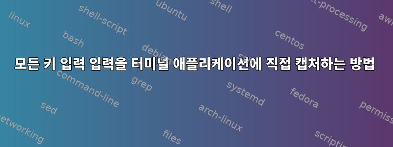 모든 키 입력 입력을 터미널 애플리케이션에 직접 캡처하는 방법