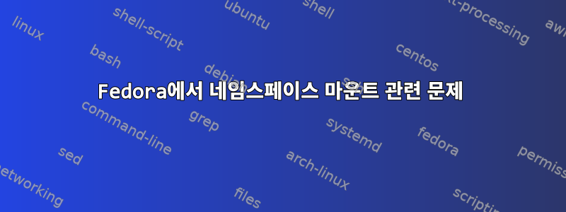 Fedora에서 네임스페이스 마운트 관련 문제