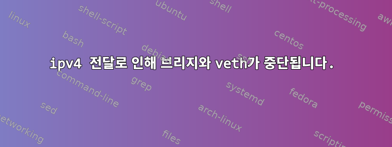 ipv4 전달로 인해 브리지와 veth가 중단됩니다.