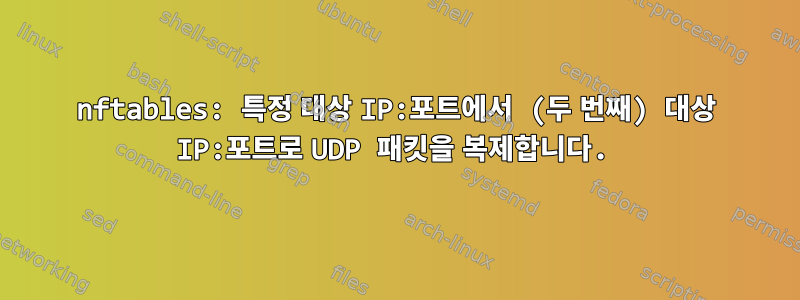 nftables: 특정 대상 IP:포트에서 (두 번째) 대상 IP:포트로 UDP 패킷을 복제합니다.