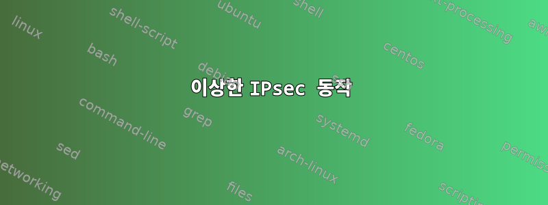 이상한 IPsec 동작