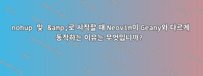 nohup 및 &amp;로 시작할 때 Neovim이 Geany와 다르게 동작하는 이유는 무엇입니까?