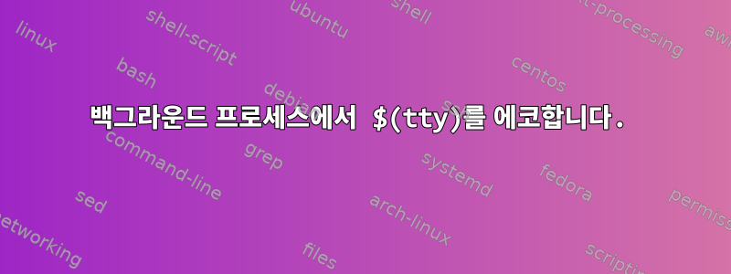 백그라운드 프로세스에서 $(tty)를 에코합니다.