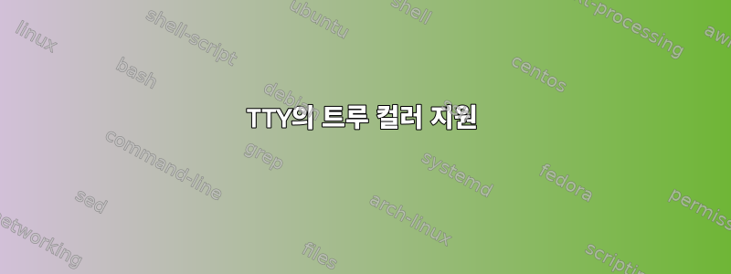 TTY의 트루 컬러 지원