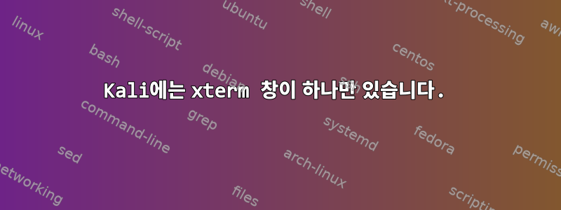 Kali에는 xterm 창이 하나만 있습니다.