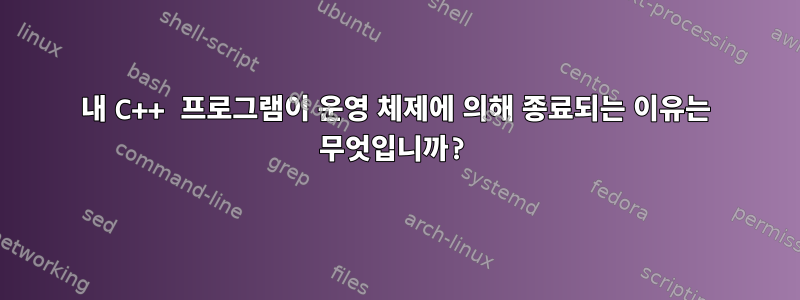 내 C++ 프로그램이 운영 체제에 의해 종료되는 이유는 무엇입니까?