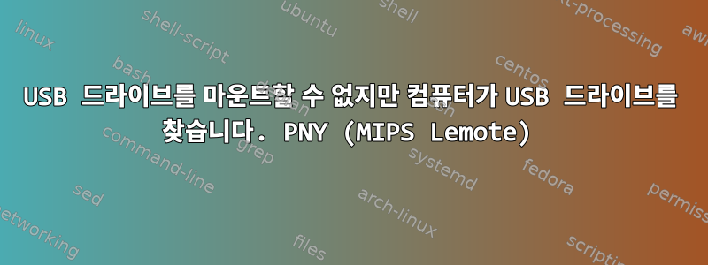 USB 드라이브를 마운트할 수 없지만 컴퓨터가 USB 드라이브를 찾습니다. PNY (MIPS Lemote)