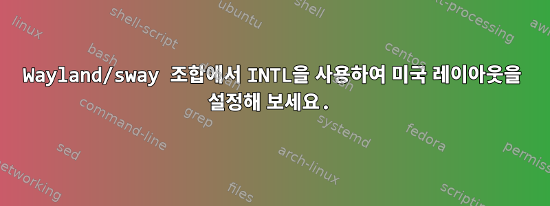 Wayland/sway 조합에서 INTL을 사용하여 미국 레이아웃을 설정해 보세요.