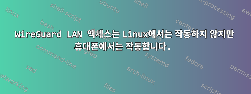 WireGuard LAN 액세스는 Linux에서는 작동하지 않지만 휴대폰에서는 작동합니다.