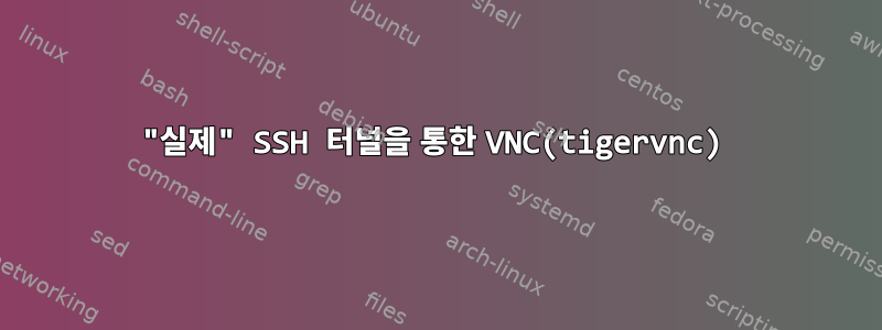 "실제" SSH 터널을 통한 VNC(tigervnc)