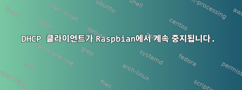 DHCP 클라이언트가 Raspbian에서 계속 중지됩니다.