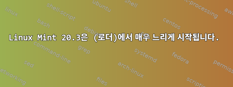 Linux Mint 20.3은 (로더)에서 매우 느리게 시작됩니다.