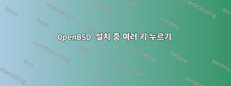 OpenBSD 설치 중 여러 키 누르기