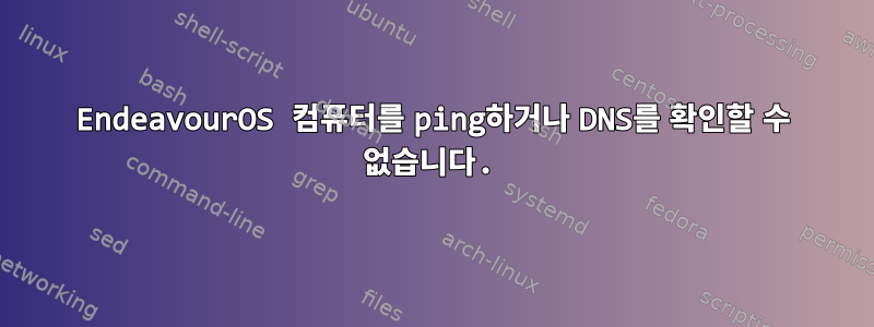 EndeavourOS 컴퓨터를 ping하거나 DNS를 확인할 수 없습니다.