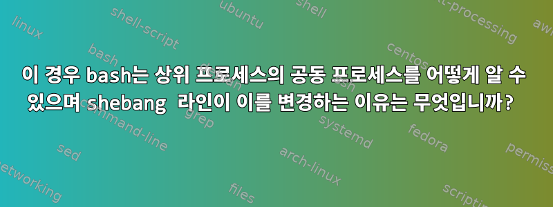 이 경우 bash는 상위 프로세스의 공동 프로세스를 어떻게 알 수 있으며 shebang 라인이 이를 변경하는 이유는 무엇입니까?