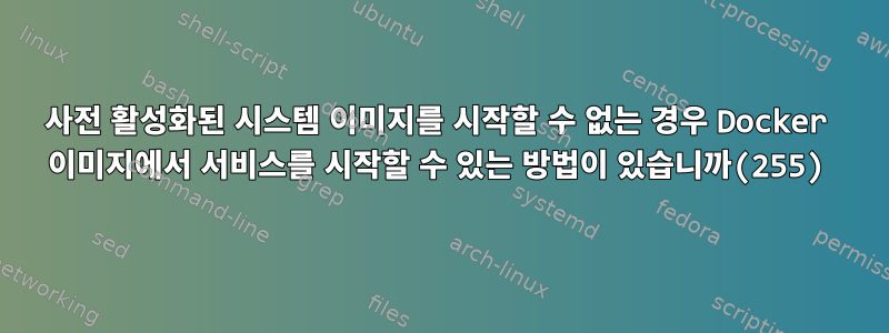 사전 활성화된 시스템 이미지를 시작할 수 없는 경우 Docker 이미지에서 서비스를 시작할 수 있는 방법이 있습니까(255)