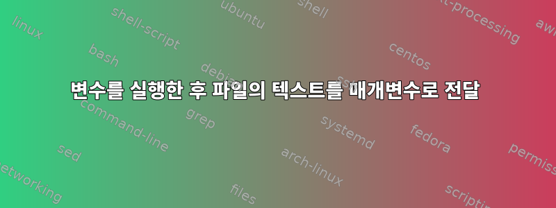 변수를 실행한 후 파일의 텍스트를 매개변수로 전달