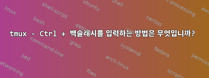 tmux - Ctrl + 백슬래시를 입력하는 방법은 무엇입니까?