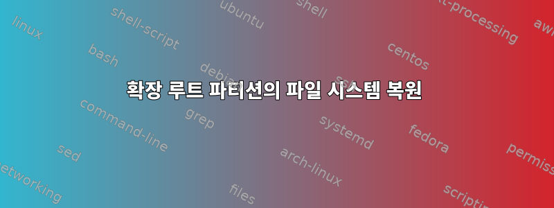 확장 루트 파티션의 파일 시스템 복원