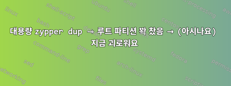 대용량 zypper dup → 루트 파티션 꽉 찼음 → (아시나요) 지금 괴로워요