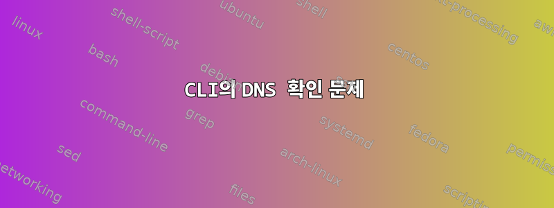 CLI의 DNS 확인 문제