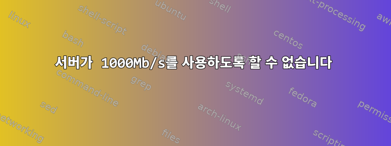 서버가 1000Mb/s를 사용하도록 할 수 없습니다