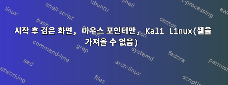 시작 후 검은 화면, 마우스 포인터만, Kali Linux(셸을 가져올 수 없음)